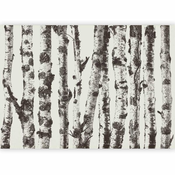 Fotobehang - Stately Birches - First Variant