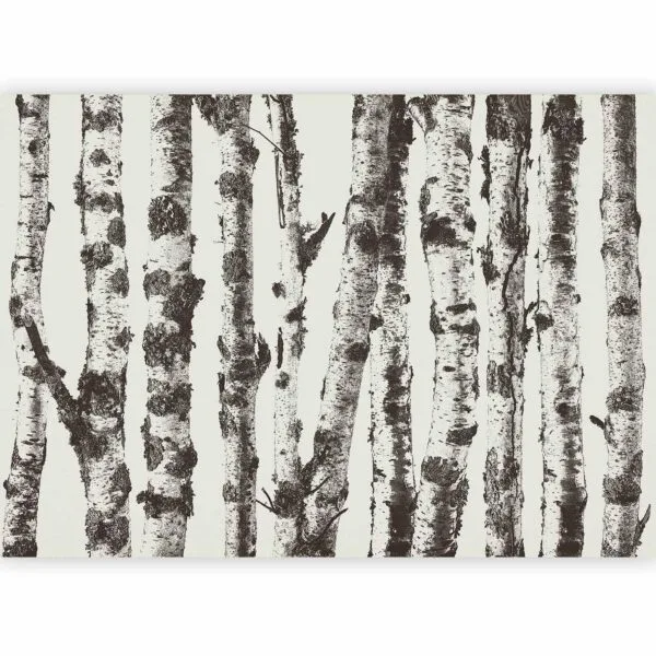 Fotobehang - Stately Birches - First Variant