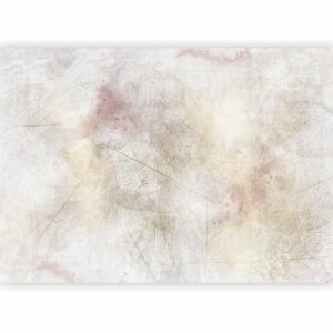Fotobehang - Summer memory - abstract background with shadow of dried leaves