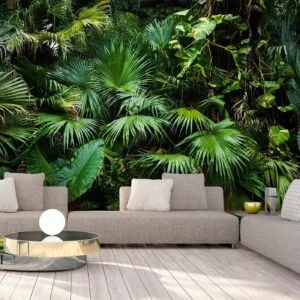 Fotobehang - Sunny Jungle