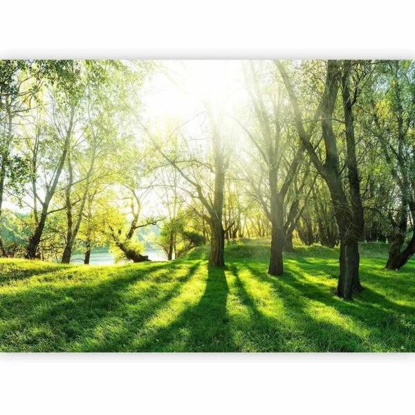 Fotobehang - Sunny May Day