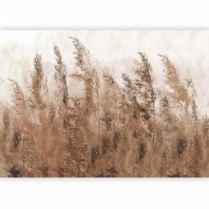 Fotobehang - Tall Grasses - Brown