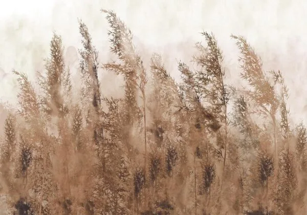 Fotobehang - Tall Grasses - Brown