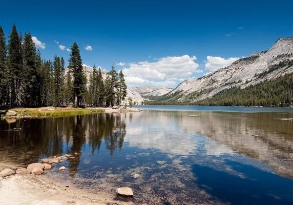 Fotobehang - Tenaya Lake