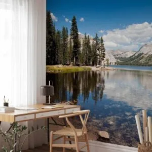 Fotobehang - Tenaya Lake