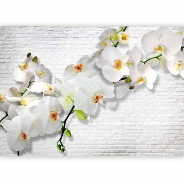 Fotobehang - The Urban Orchid