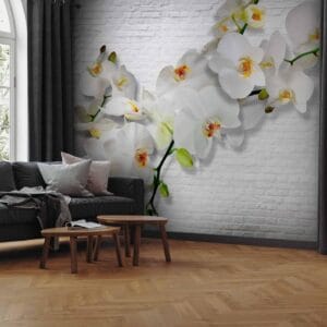 Fotobehang - The Urban Orchid