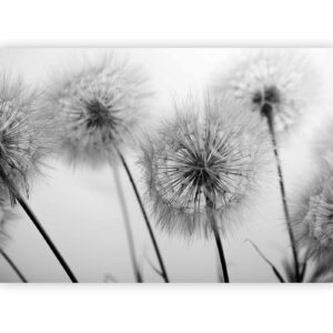 Fotobehang - Time for Dandelions - Second Variant