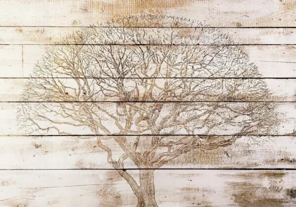 Fotobehang - Tree on Boards