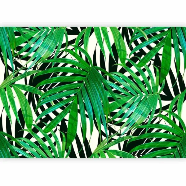 Fotobehang - Tropical Leaves