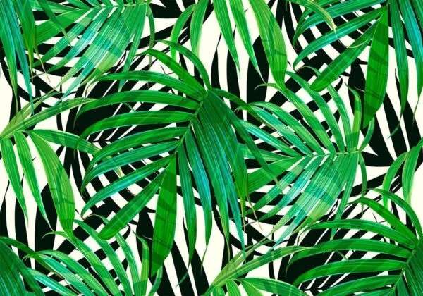 Fotobehang - Tropical Leaves