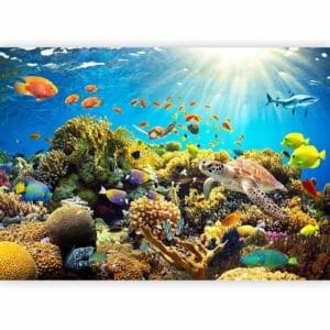 Fotobehang - Underwater Land