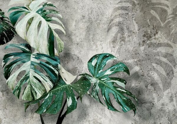 Fotobehang - Variegata