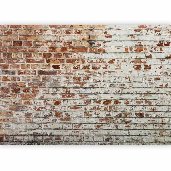 Fotobehang - Walls of Memory