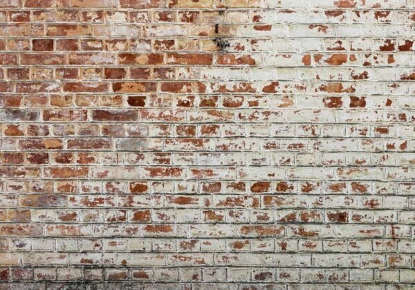 Fotobehang - Walls of Memory
