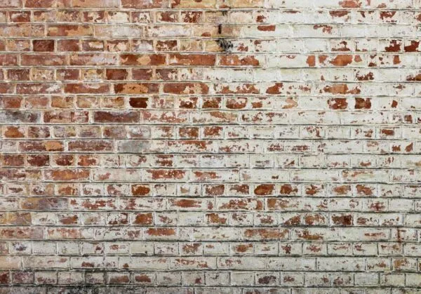 Fotobehang - Walls of Memory