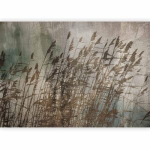 Fotobehang - Water Grasses