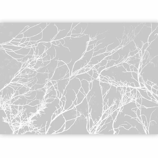 Fotobehang - White Trees