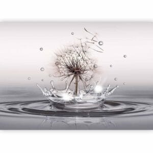 Fotobehang - Wind Drops