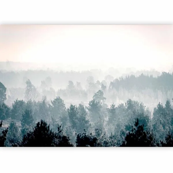 Fotobehang - Winter Forest