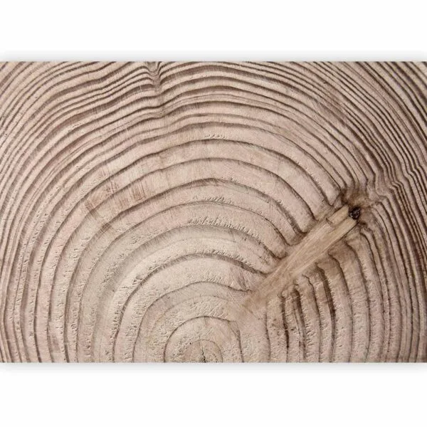 Fotobehang - Wood grain