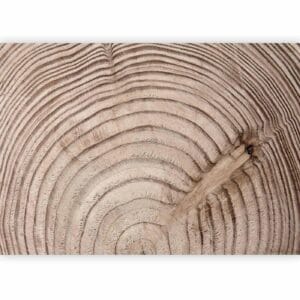 Fotobehang - Wood grain