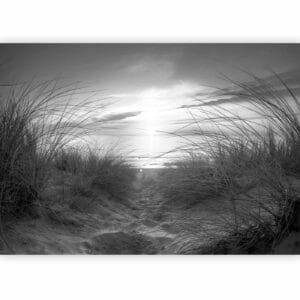 Fotobehang - beach (black and white)