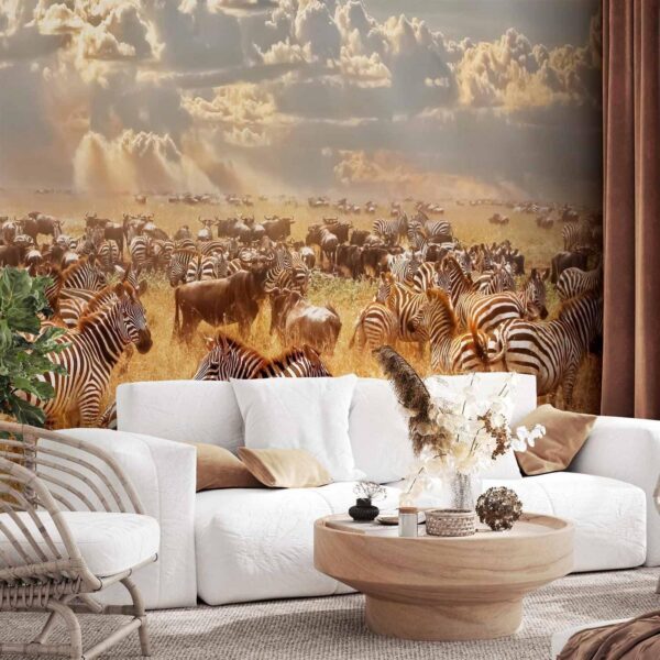 Fotobehang – Zebra Land 400x280