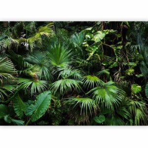 Fotobehang – Sunny Jungle 350×245