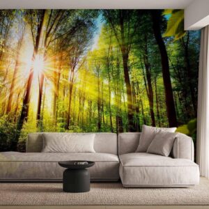 Fotobehang – Forest Hideout 350x245
