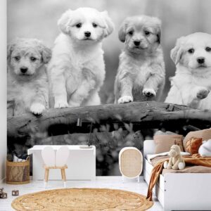 Fotobehang – Four Puppies 400x280