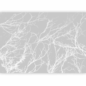 Fotobehang – White Trees 400x280
