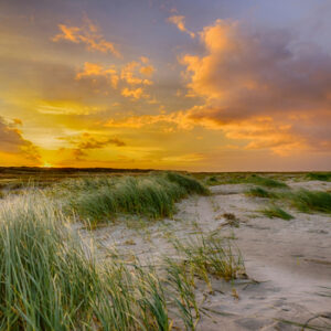 Fotobehang Schiermonnikoog 0356 Holland