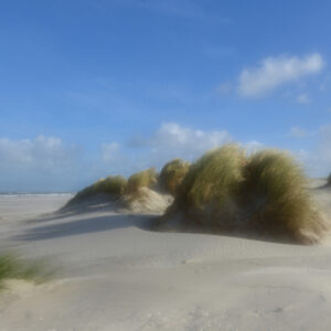 Fotobehang Schiermonnikoog duinen 0477 Holland
