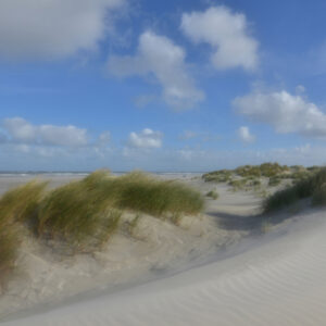 Fotobehang Schiermonnikoog duinen III 0510 Holland