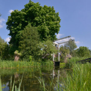 Fotobehang Naardermeer bruggetje 0937 Holland