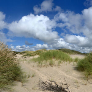 Fotobehang Noordwijk duinlandschap 1434 Holland