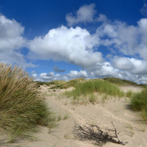 Fotobehang Noordwijk duinlandschap 1434 Holland