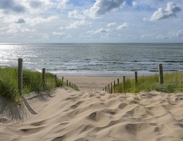 Fotobehang Strandopgang Noordzee 1508 Holland
