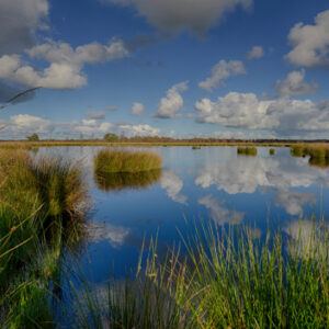 Fotobehang Dwingelderveld 1797 Holland