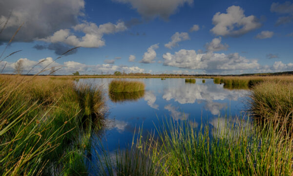 Fotobehang Dwingelderveld 1797 Holland
