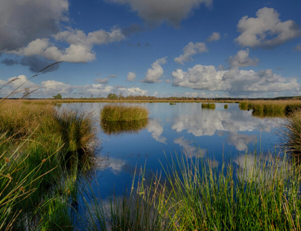 Fotobehang Dwingelderveld 1797 Holland