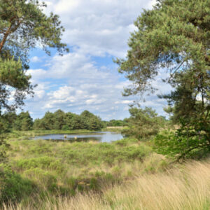 Fotobehang Dommeldal 2864 Holland