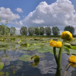 Fotobehang Eem 3031 Holland