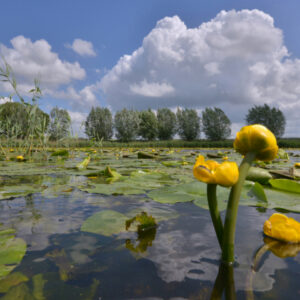 Fotobehang Eem 3031 Holland