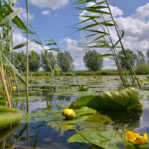 Fotobehang Eem II 3043 Holland