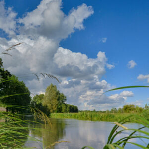 Fotobehang Kromme Rijn III 3288 Holland