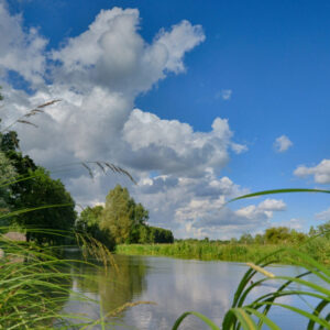 Fotobehang Kromme Rijn III 3288 Holland