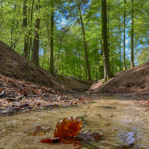 Fotobehang Mariendaal II 3536 Holland