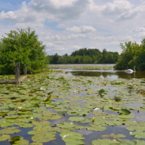 Fotobehang Loosdrecht II 4624 Holland